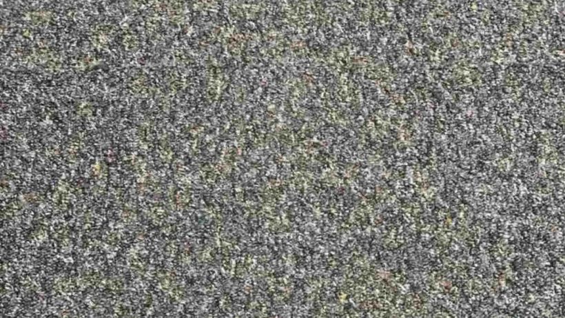 Test de inteligență | 98% din oameni nu văd unde se ascunde mina de creion din această poză