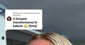 Galerie foto - poza 2