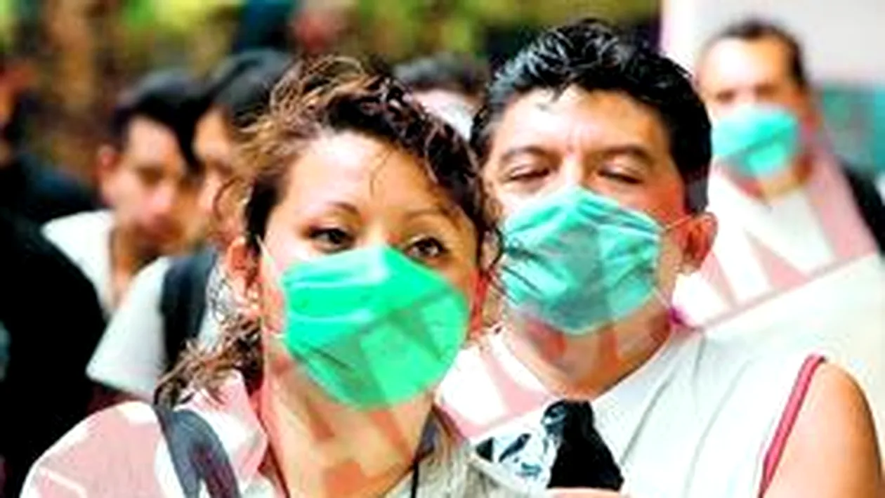 Alarma de gripa porcina la Timisoara