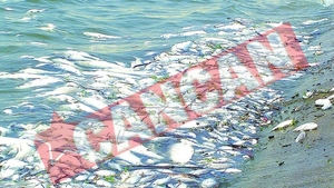 Tone de peste mort in Dambovita