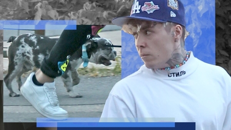 Lino Golden și-a ”strunit” patrupedul prin parc, dar... I-a pus frână cățelușul!
