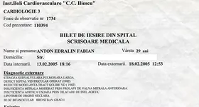 Galerie foto - poza 3