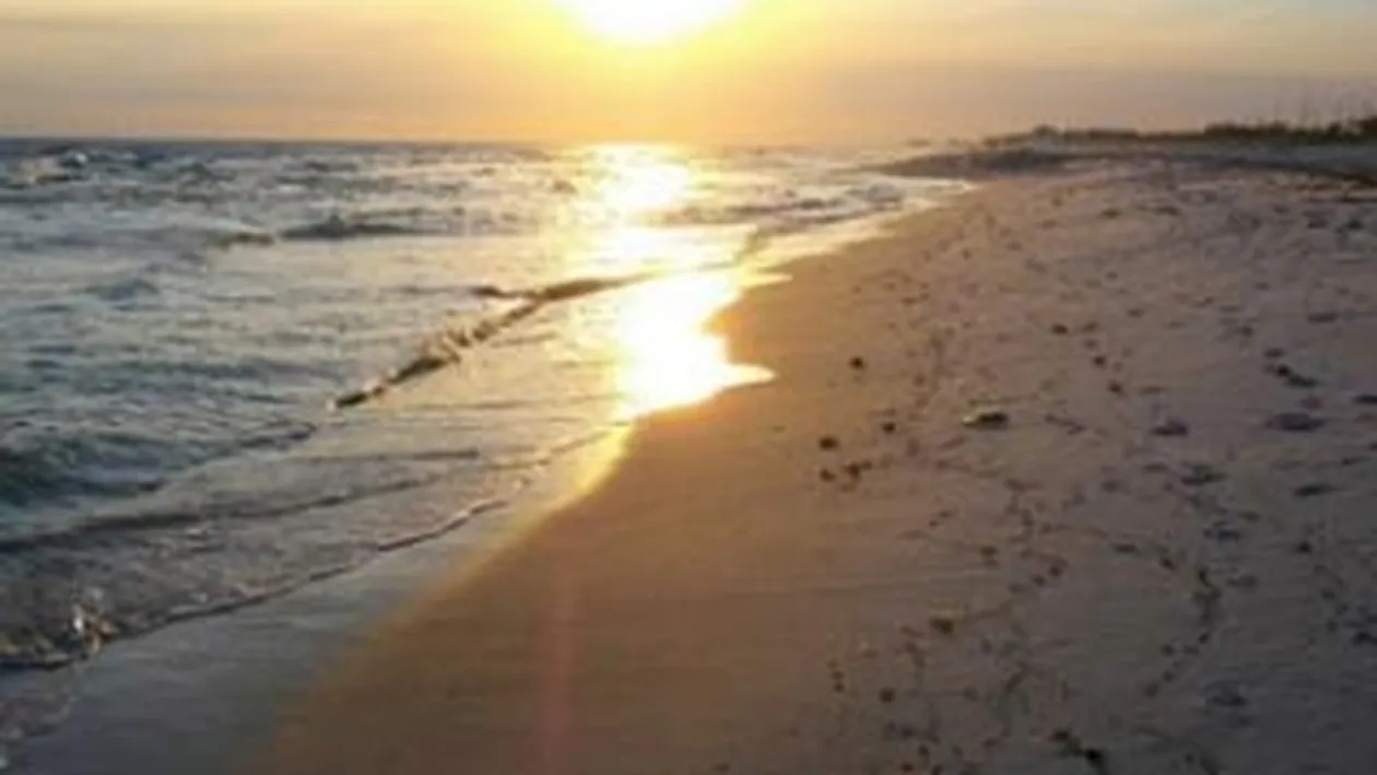 Turistii din Mamaia au facut plaja si baie printre reziduri de petrol. Vezi cum s-a intamplat asta