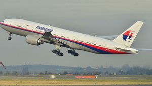 Au aparut noi imagini inregistrate prin satelit cu locul unde s-a prabusit avionul companiei Malaysia Airlines
