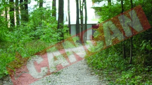 Au taiat copaci in nestire ca sa-si faca scurtatura spre casa