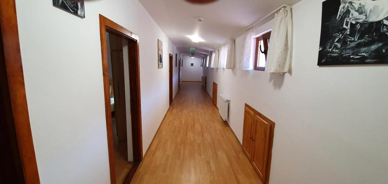 Cât costă o noapte de cazare în hotelul Monicăi Anghel. Foto: booking