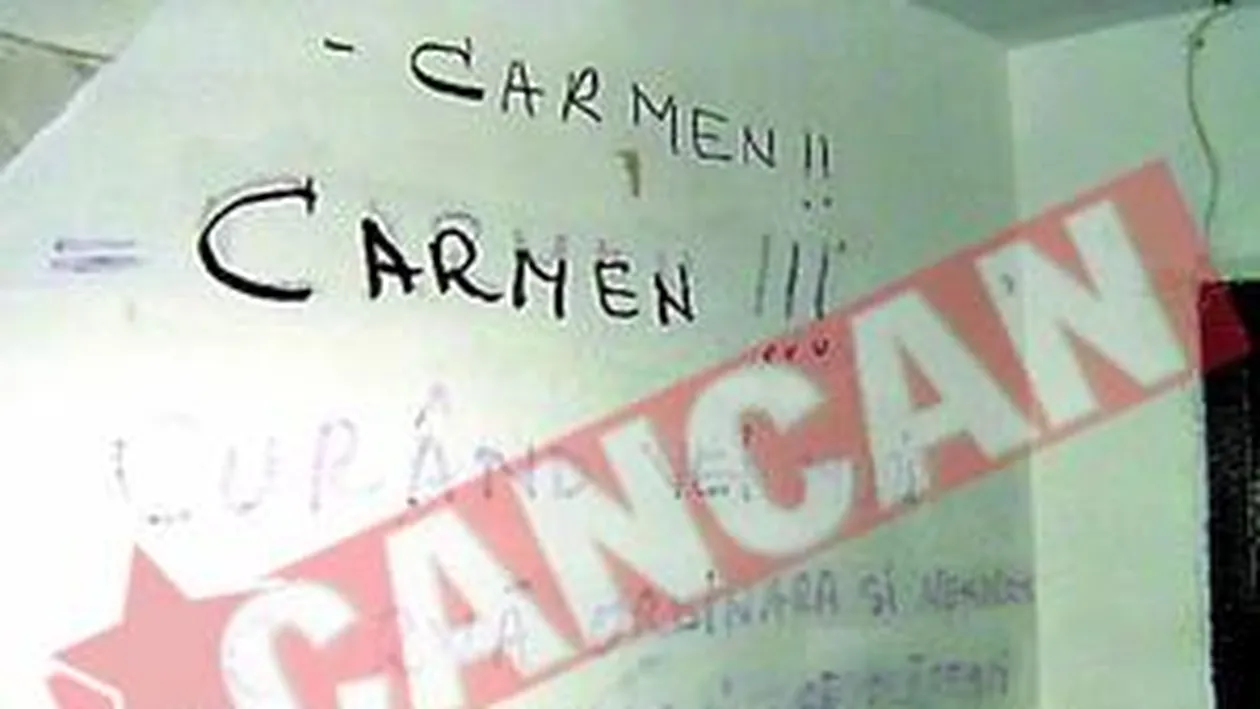 Cutitarul din troleibuz, liber sa-si macelareasca victimele