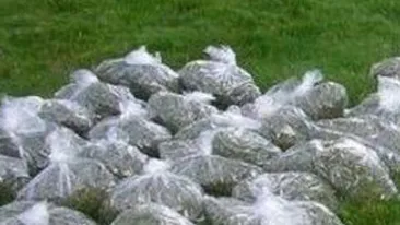 Doi tineri acuzati de complicitate la trafic de droguri de risc au fost retinuti!