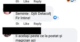 Galerie foto - poza 4