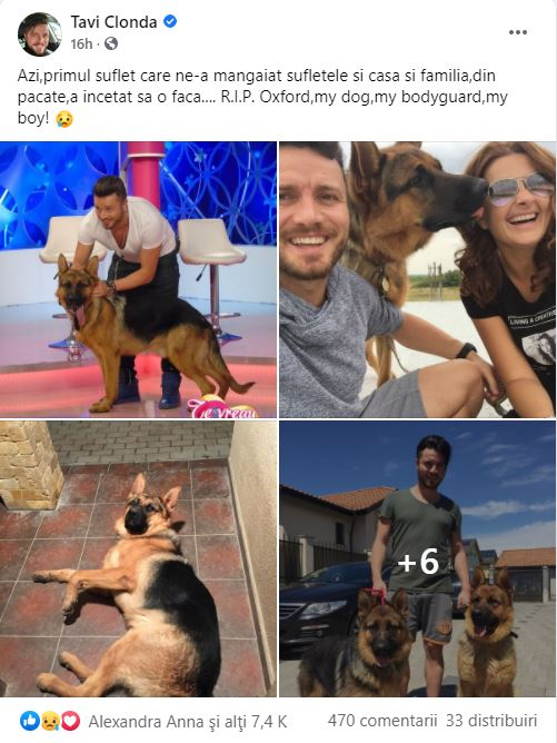 Cu lacrimi în ochi, Gabriela Cristea a mărturisit că este în doliu, după ce unul dintre câinii familiei a murit: “Avea 6 ani jumate. Totul a fost fulgerător de rapid”