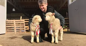 Galerie foto - poza 2