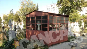 „Cu nimic nu te alegi pe pământ, doar cu o cruce pe mormânt”. Vezi cele mai şocante poze din cimitire!