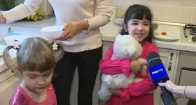 Galerie foto - poza 3