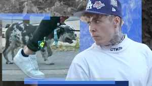 Lino Golden și-a ”strunit” patrupedul prin parc, dar... I-a pus frână cățelușul!