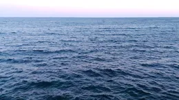 Fenomen neobișnuit în Marea Neagră. De necrezut ce au găsit doi pescari lângă Portul Constanța