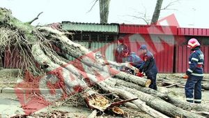 Vijeliile rascolesc Romania