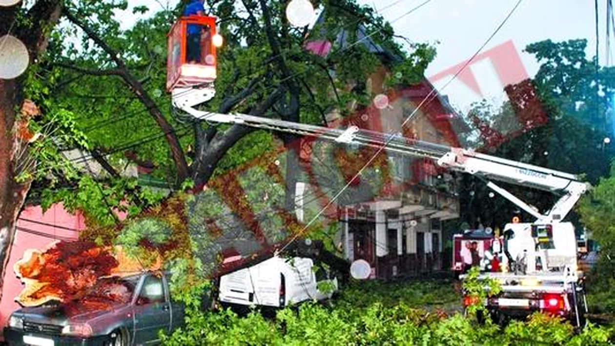 Vantul puternic si ploaia au facut ravagii in Capitala