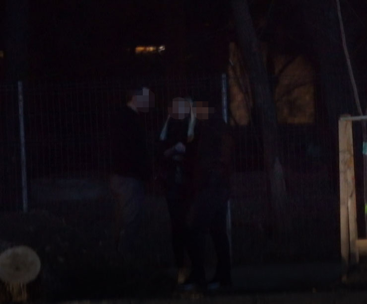 Prințesica celebrului multimilionar, discuții nocturne în Herăstrău cu ”omul de casă” al tăticului!