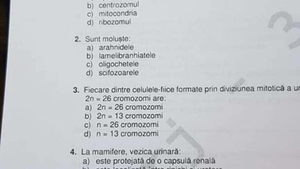 Bacalaureat 2022 | Rezolvarea subiectelor la biologie, a treia probă de la BAC