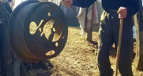 Galerie foto - poza 1