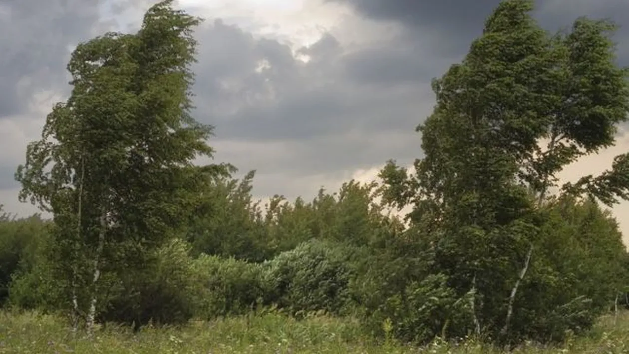 METEO 7 NOIEMBRIE! Înnorările vor persista în toată ţara