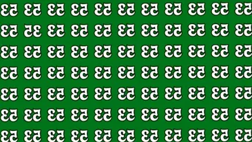 Test de inteligență | Ai IQ-ul lui Einstein dacă găsești numărul inversat '33' în doar 10 secunde