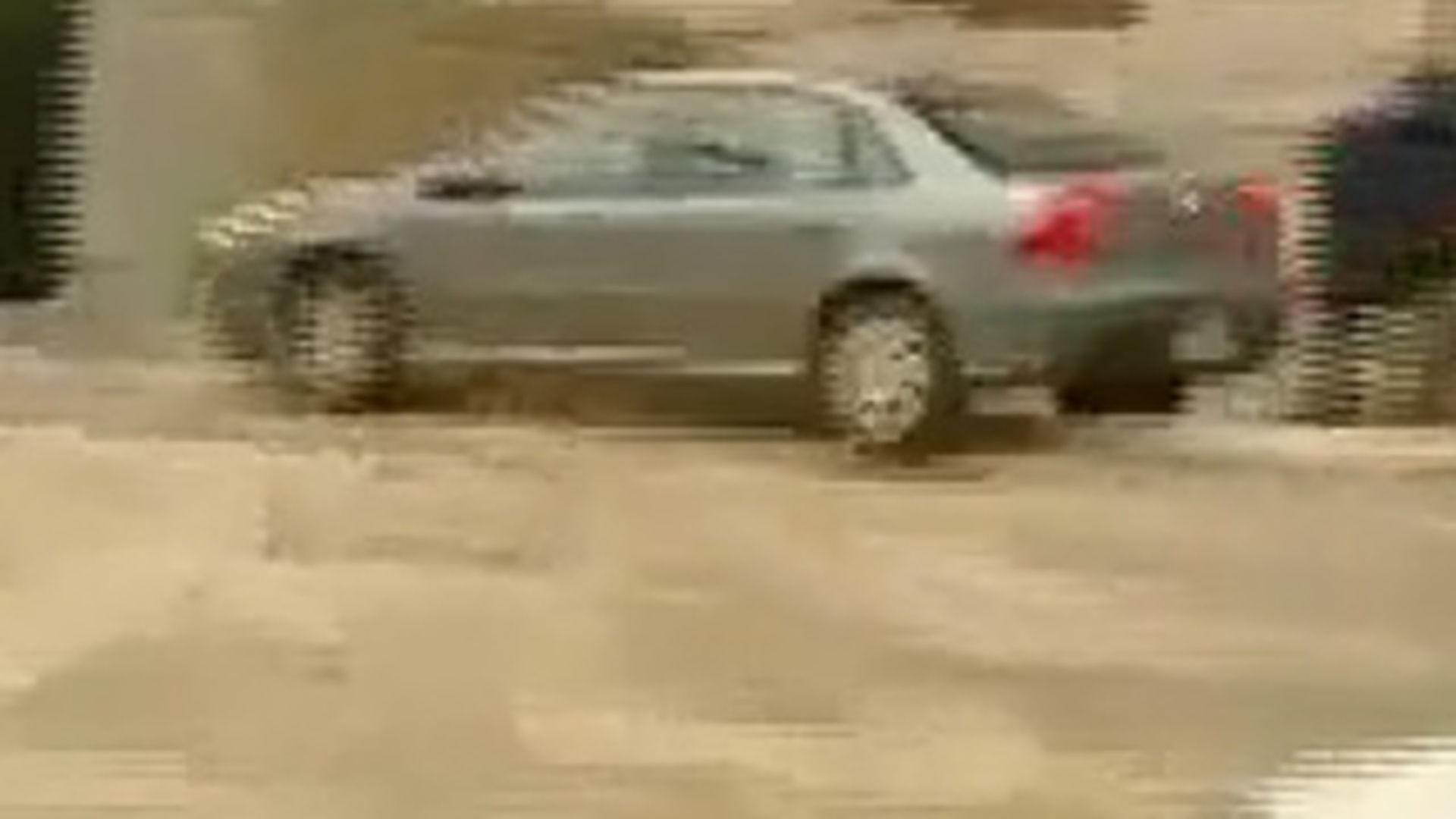 VIDEO Un sofer beat s-a urcat cu masina pe scarile Parlamentului sarb