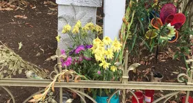 Galerie foto - poza 3