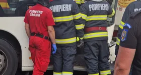 Galerie foto - poza 2