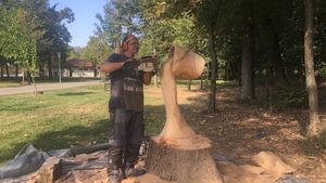 FOTO. Minunăţiile sculptorului cu drujba. Transformă copacii uscaţi din Craiova în opere de artă