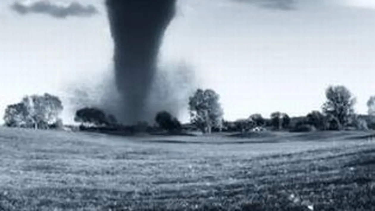 VIDEO Tornada in Bistrita-Nasaud: acoperisurile a doua case si mai multi copaci, luate pe sus!