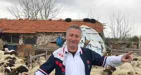 Galerie foto - poza 4