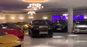 Galerie foto - poza 4