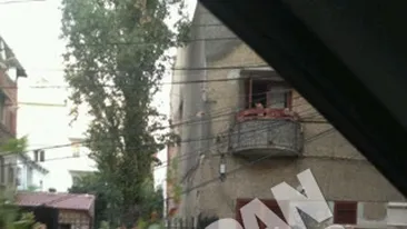 O banala plimbare prin Dorobanti s-a transformat intr-un cosmar Jasmine, la un pas sa sfarseasca strivita de un copac