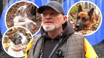 Cei mai simpatici căței, față-n față cu dresori de top: Am educat și câinii vedetelor | EXCLUSIV