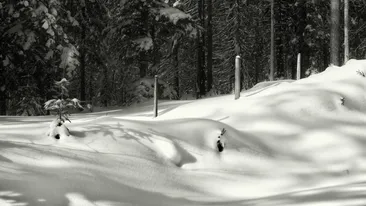 Prognoza meteo azi, 26 februarie 2026. Ger în centrul țării, soare și maxime de până la 10°C în vestul României