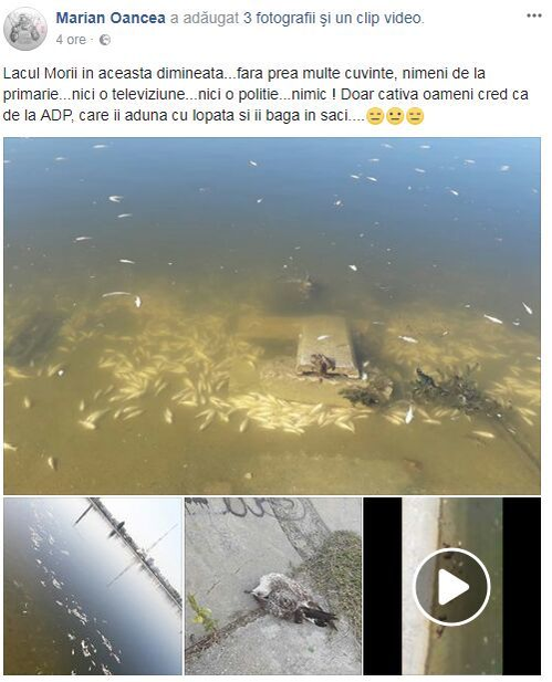 Postarea bucureşteanului a stârnit un val de revoltă