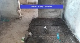 Galerie foto - poza 2