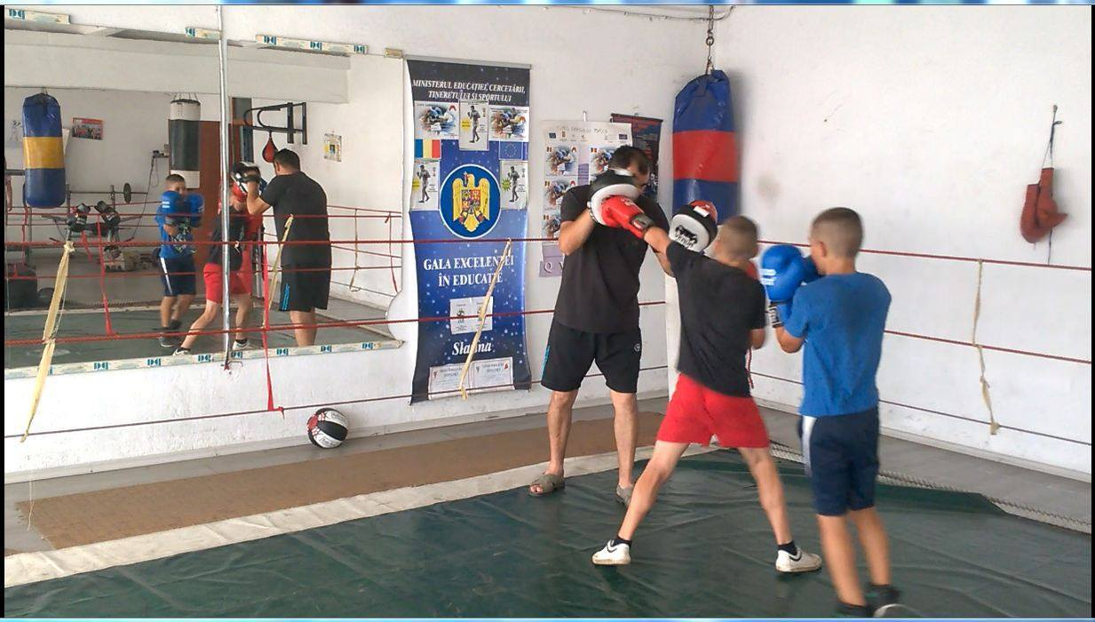 „Micul Hercule” s-a reprofilat! Cea mai nouă ocupaţie a lui este…