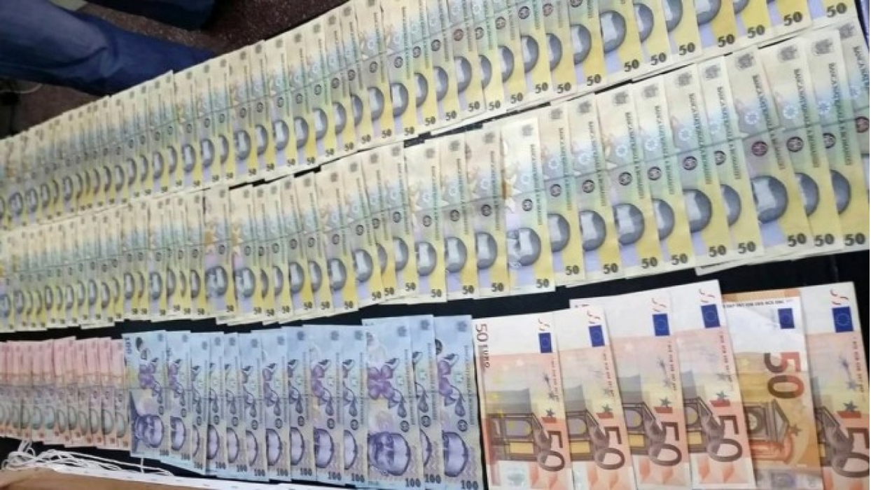 Fiul fostului ministru al Integrării Hildegard Puwak a fost obligat să plătească o pensie alimentară lunară colosală 