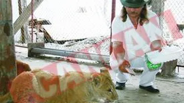 Si-a facut gradina zoologica acasa