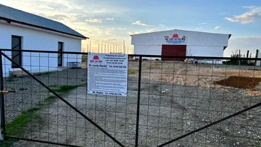 Ce au descoperit polițiștii la descinderea în adăpostul din Suraia, județul Vrancea. Iubitorii de animale fac acuzații grave la adresa medicului veterinar