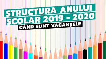 Structura anului școlar 2019 - 2020. Când sunt vacanțele
