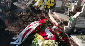 Galerie foto - poza 2