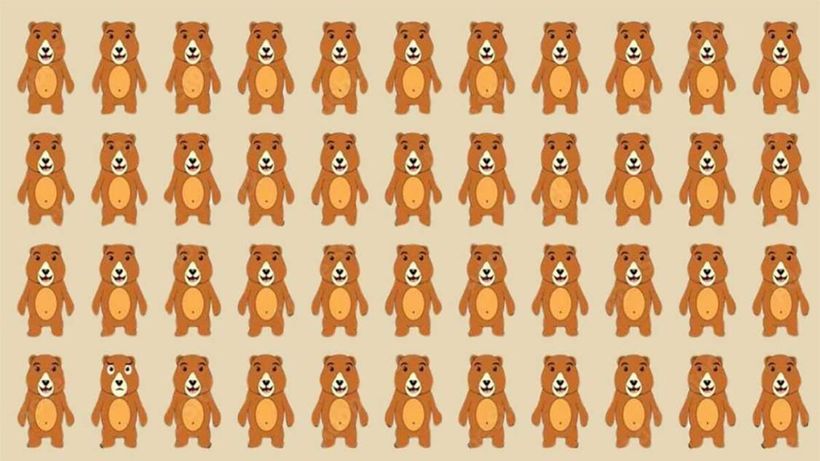 TEST IQ | Unul dintre acești 44 de urși este diferit. Găsiți-l în 4 secunde!