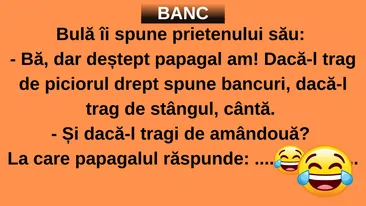 BANCUL ZILEI | Bulă: ”Am cel mai deștept papagal. Dacă-l trag de ambele picioare...”