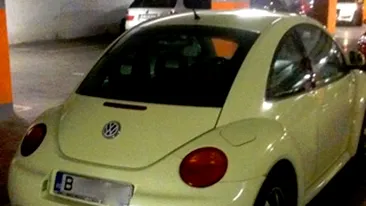 Dana Nalbaru a primit o masina de la sotul sau!