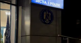 Galerie foto - poza 2