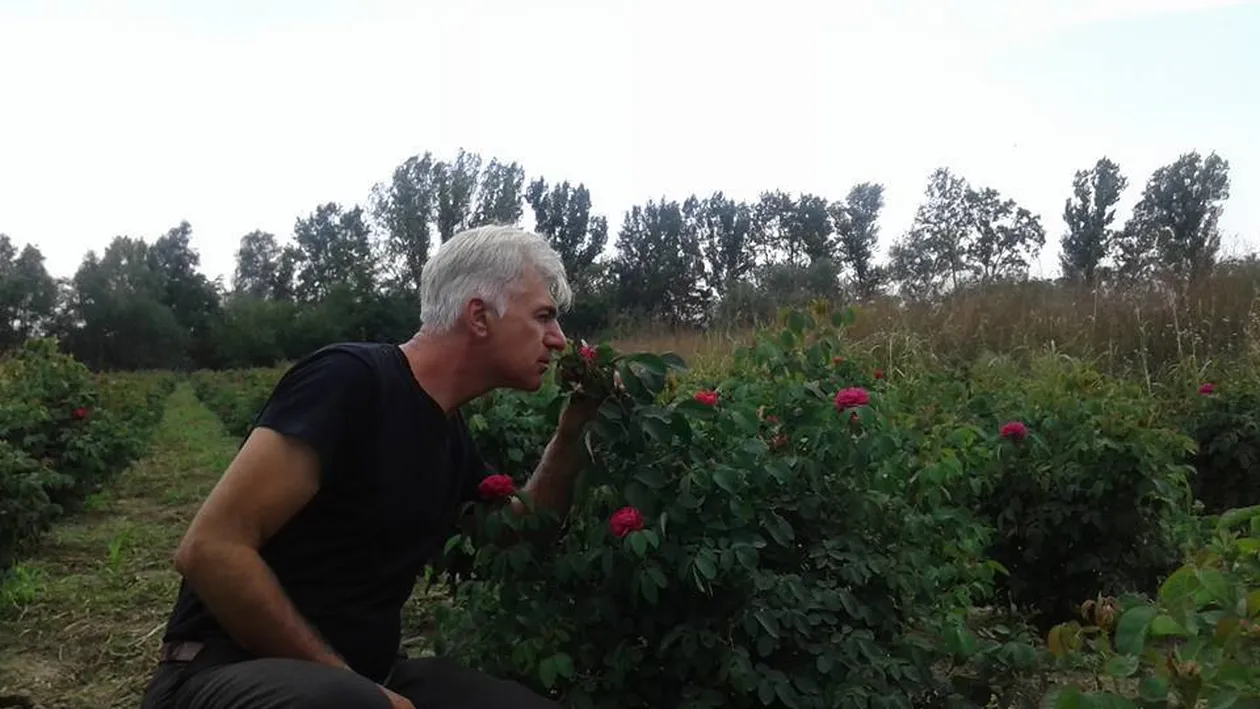 Au făcut afacere cu trandafiri, după reţeta bunicii. Povestea de succes a unui fost poliţist din Piatra Olt şi a soţiei sale