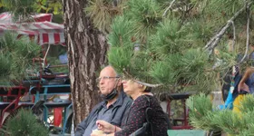 Galerie foto - poza 2